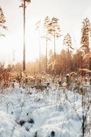 Eleriin Aab (Fotograaf Eleriin)